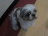 barkley