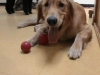 dsc05474 dsc05474