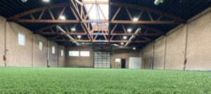 dog's eye view of 8700 sq ft of turf
