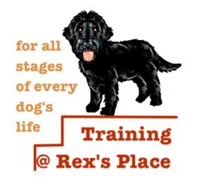 training at Rex's Place for every stage of a dog's life
