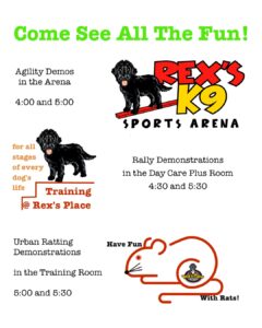 agility demos at 4 and 5 in the Arena, rally at 4:30 and 5:30 in the day care plus room, ratting at 5 and 5:30 in the Training Room