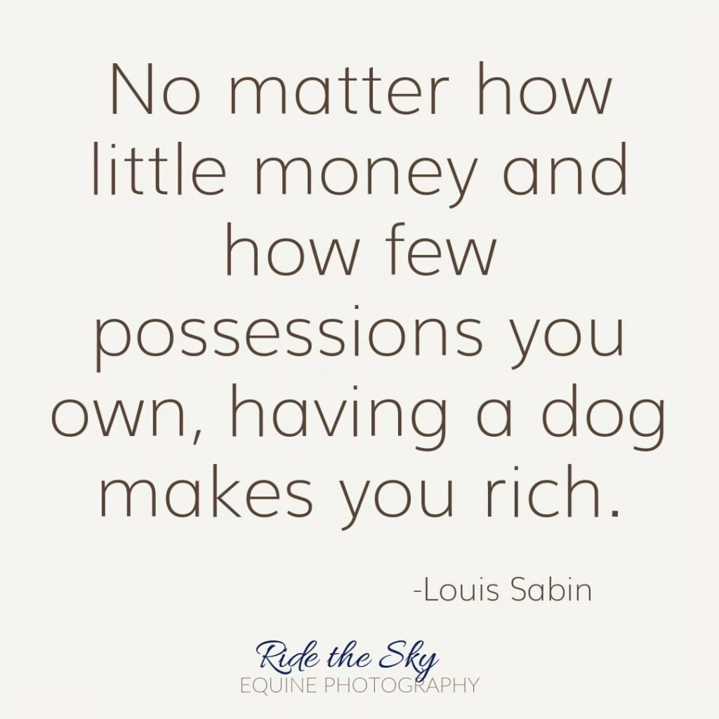 No matter how little money and how few possessions you own, having a dog makes you rich. Louis Sabin via Ride the Sky Equine Photography