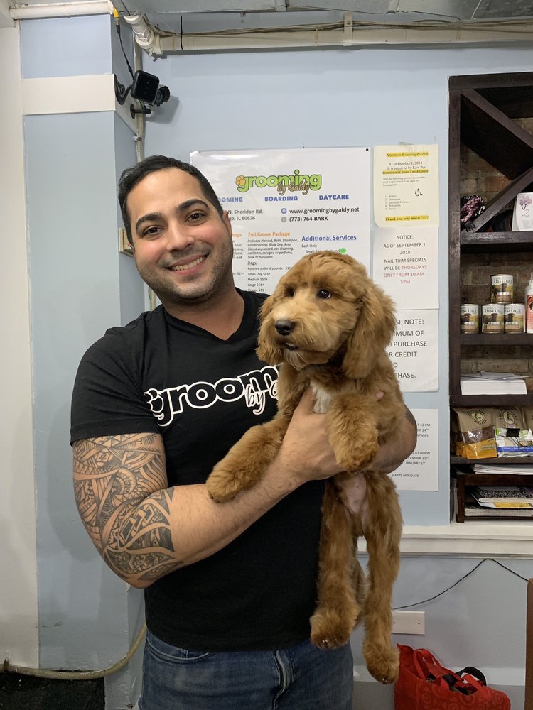groomer Galdy holding smaller doodle dog