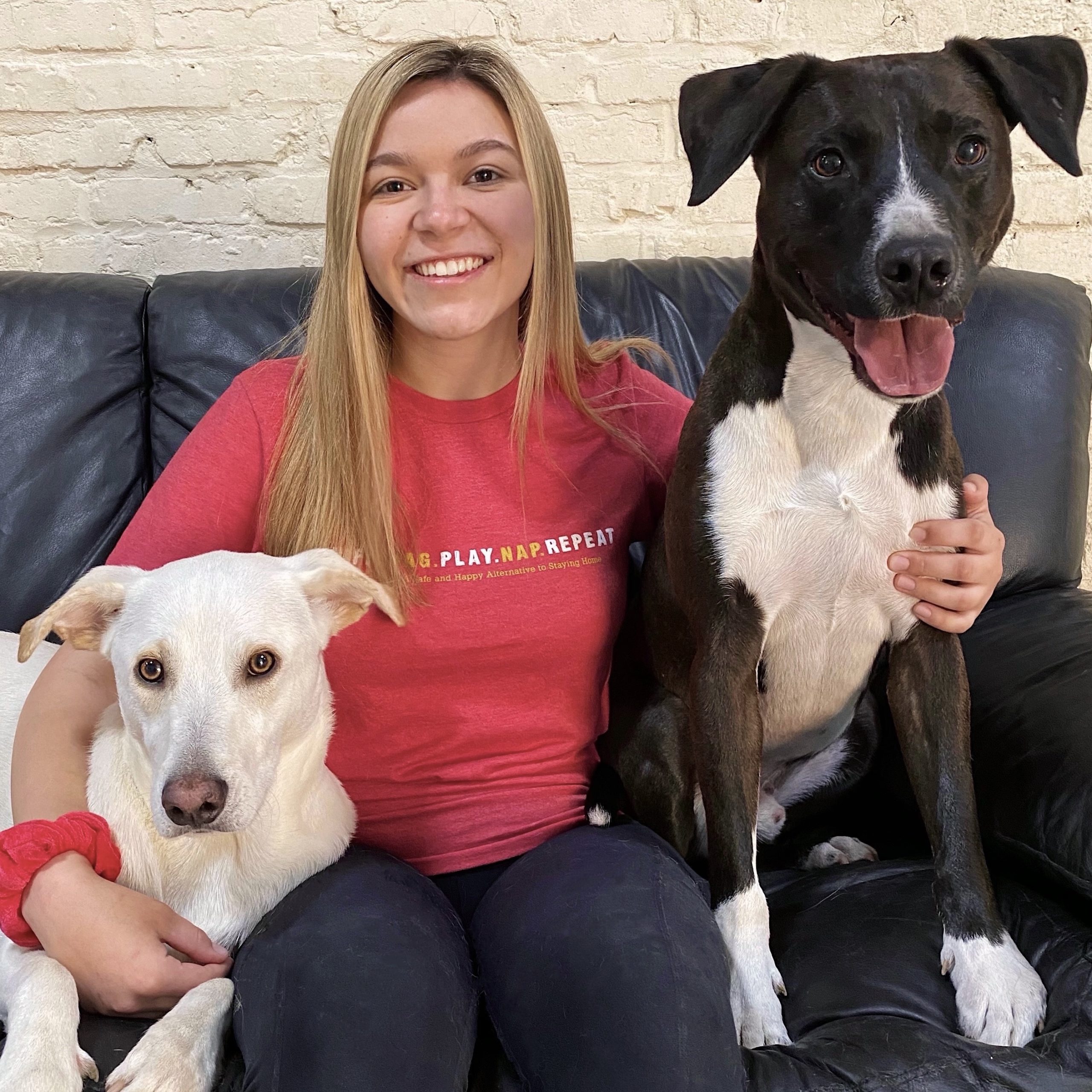 Chloe with Finnegan and Dart