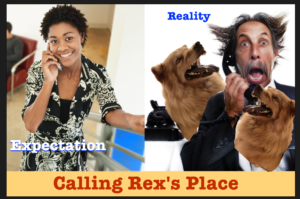 expectation vs reality when phoning Rex's Place