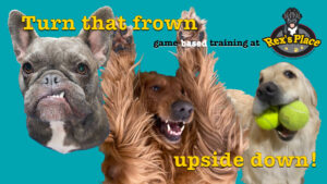 Turn that frown upside down - game-based training at Rex's Place