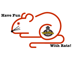 Have fun with rats!