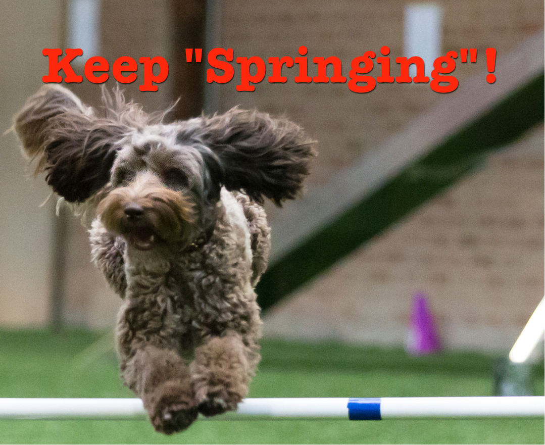 Keep "Springing"!
