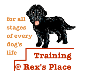 training at Rex's Place for every stage of a dog's life