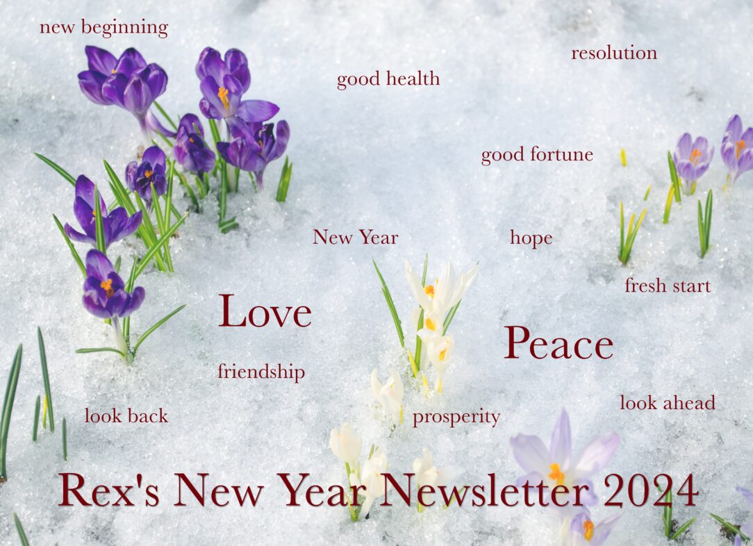 new beginning good health resolution good fortune hope new year fresh start love peace friendship look back prosperity look ahead crocus emerging from snow