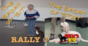 The Sport of Sit, The Sport of Stay: Rally @ Rex's K9 Sports Arena