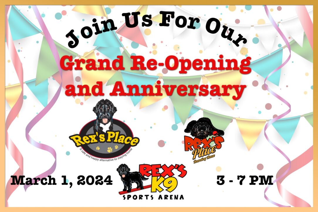 Join us for our Grand Re-Opening and Anniversary