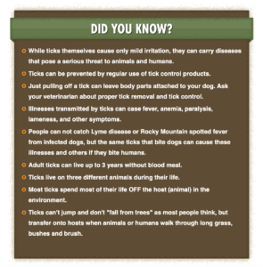 Facts about Ticks